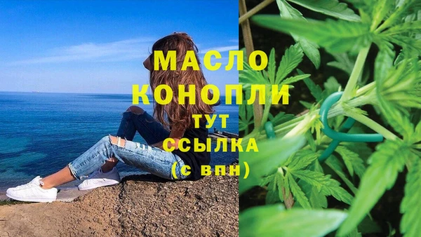 дмт Мегион