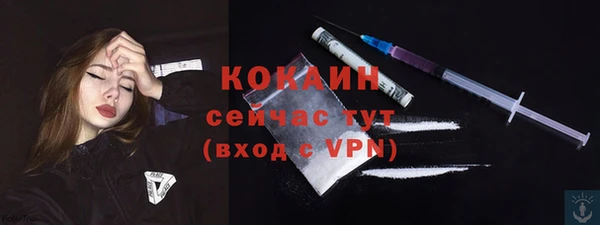 дмт Мегион